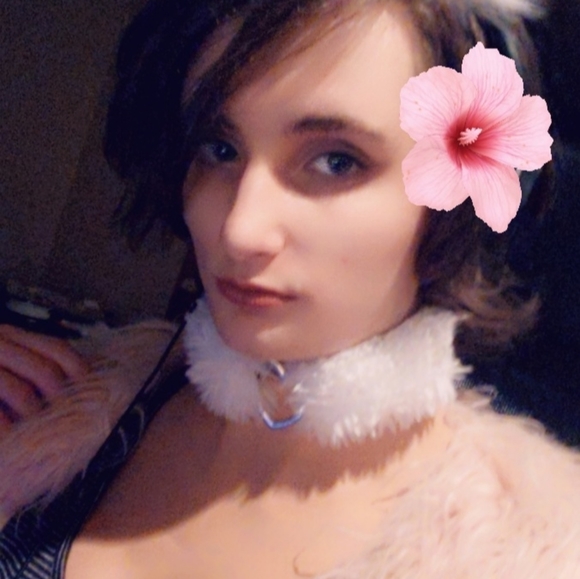 Meet your Posher, Jason - Picture 7 of 7